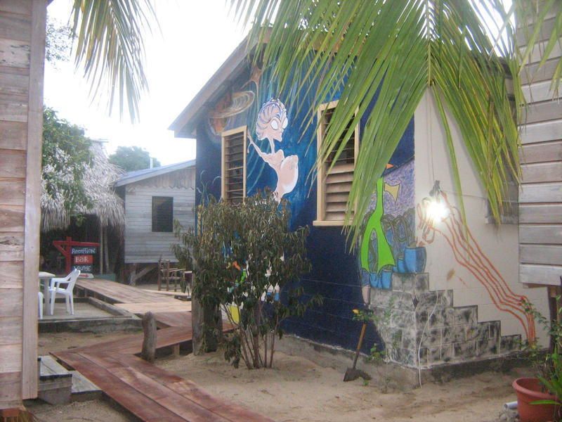 The Funky Dodo Backpackers Hostel - 0