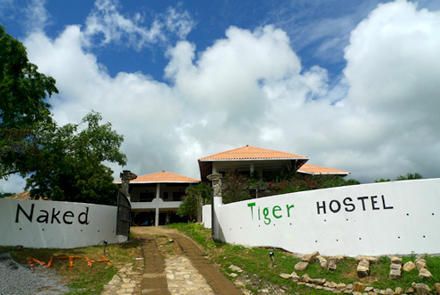 Naked Tiger Hostel - 1