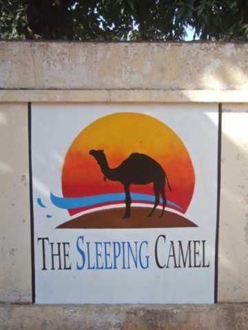 The Sleeping Camel Hostel - 0