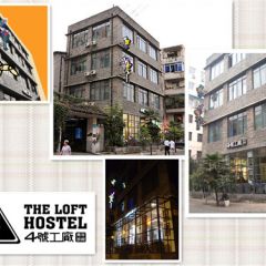 The Loft Design Hostel 