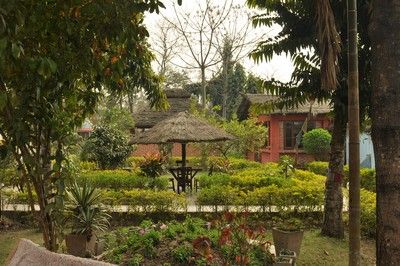 Chitwan Forest Resort - 0