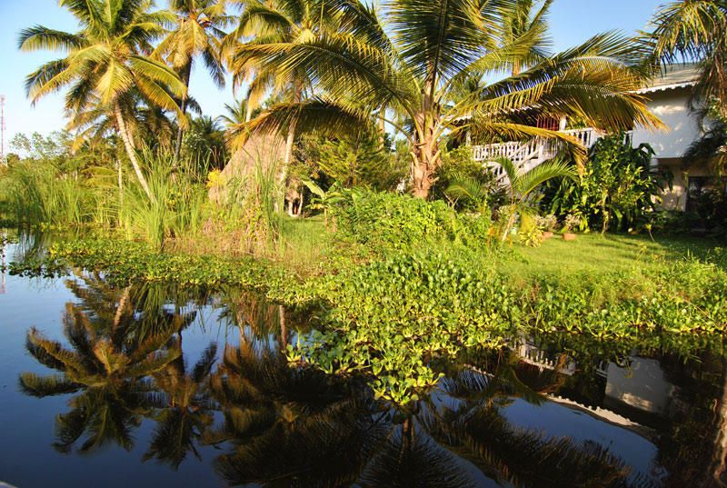 Cabarete Hostel - 1