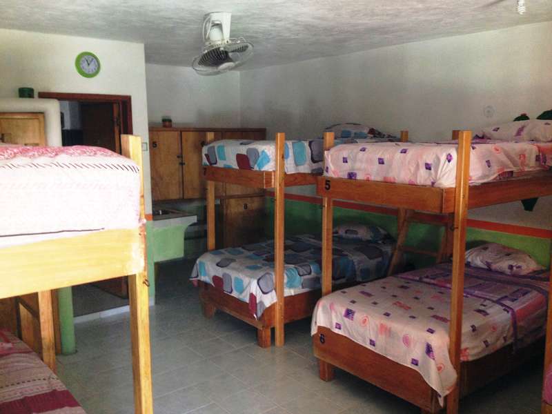 Amigos Hostel Cozumel in Cozumel | Viagio