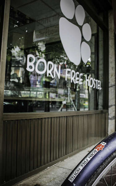 Born Free Hostel - Vista - 1