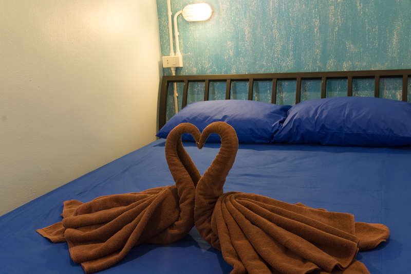Treechart Hostel - 1