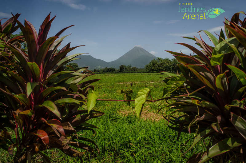 Hotel Jardines Arenal - 0