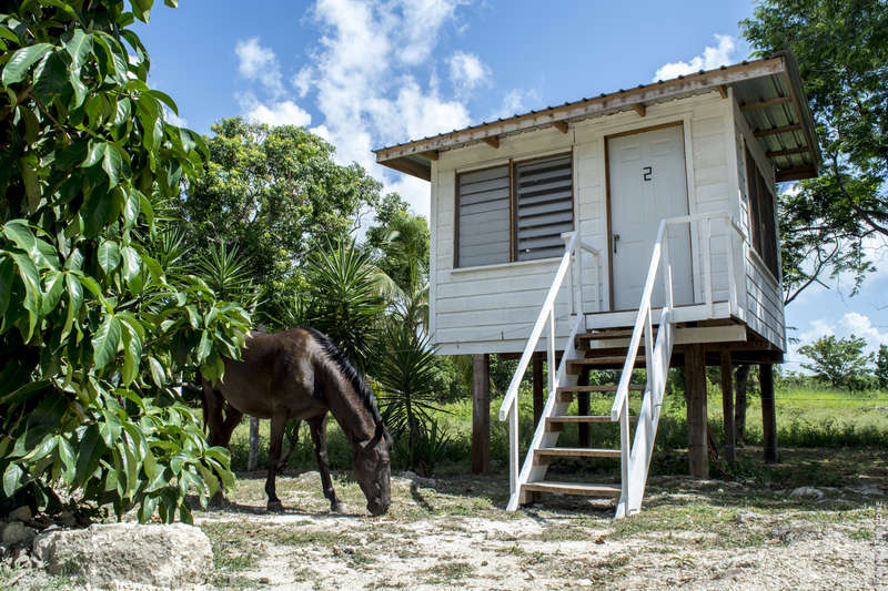 Backpackers Paradise Belize - 2